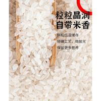 邮乐优选 甬优甬城鲜米 大米 A01 5kg (单位:袋) 当季鲜稻 低温储存 杏色