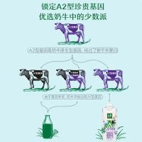 伊利 金典3.8g乳蛋白纯牛奶 有机 A2β-酪蛋白 250ml*10盒 (单位:箱) 新老包装随机发货