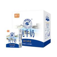 风行 仙泉湖牧场纯牛奶 原生鲜甜 200ml*12盒 (单位:箱)