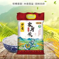 中香 小家香象牙 米 真空包装  5KG  （单位:袋）