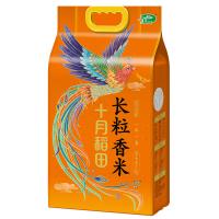 十月稻田（SHI YUE DAO TIAN） 凤凰呈祥长粒香米 5kg 真空包装（单位：袋）