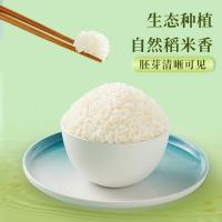 十月稻田（SHI YUE DAO TIAN） 生态胚芽米 1.5kg 真空包装 （单位:袋）