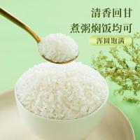 十月稻田（SHI YUE DAO TIAN） 生态胚芽米 1.5kg 真空包装 （单位:袋）