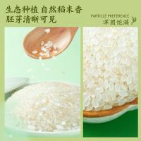 十月稻田（SHI YUE DAO TIAN） 生态胚芽米 1.5kg 真空包装 （单位:袋）
