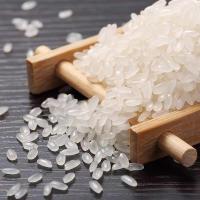 邻家饭香 LJFX59 东北大米长粒香米 2.5kg 真空包装 （单位：袋）