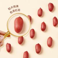 燕之坊 一级花生仁 花生 真空包装 新老包装随机发货 355g （单位:袋） 红皮