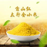 靠山红 太行金小米 小米 1000g（单位：袋）真空包装