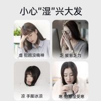 老金磨方 五指毛桃 茯苓茶 120g(单位：袋)