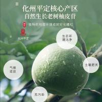 福东海（FU DONG HAI） 5年 化橘红 100克(单位：瓶)