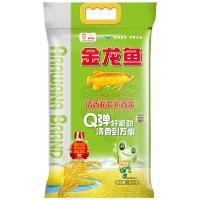 金龙鱼 清香稻长粒香米 5kg 真空包装（单位：袋） 新老包装随机发货