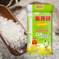 金龙鱼 清香稻长粒香米 5kg 真空包装（单位：袋） 新老包装随机发货