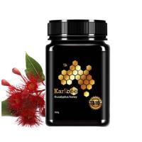 可瑞比（Karibee） TA10+ 蜂蜜 500g （单位:瓶）