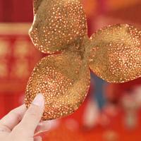 新宝堂 吉时好礼 十年新会陈皮礼盒 200克 100克/瓶 2瓶/盒 （单位:盒）