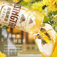 青岛啤酒（TSINGTAO） 桂花味 白啤 500ml/听 12听/箱(单位：盒)