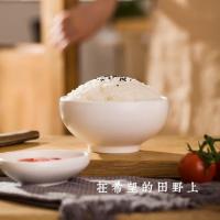 隆平芯米 珍珠米 东北大米 5KG 真空包装（单位:袋）
