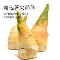 燕之坊 有机 黄山烤笋 400g（单位：袋）