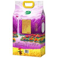 十月稻田（SHI YUE DAO TIAN） 寒地之最香稻贡米 大米 真空包装5kg 紫色（单位：袋）