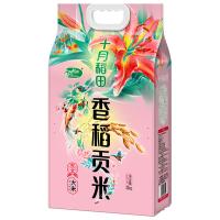 十月稻田（SHI YUE DAO TIAN）香稻贡米 大米  5kg ( 单位 :袋) 真空包装