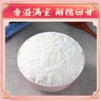 十月稻田（SHI YUE DAO TIAN）香稻贡米 大米  5kg ( 单位 :袋) 真空包装