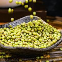木亩森 东北绿豆 2.5kg （单位：桶）