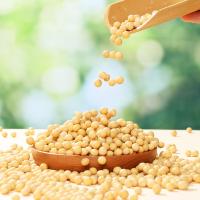 燕之坊 C01050010188有机黑龙43°黄豆罐装800g（单位：罐）
