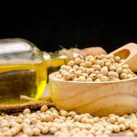 典选  北大荒商贸集团 非转基因 一级 大豆油  5L （单位:桶）