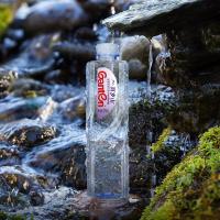 百岁山 矿泉水 矿泉水 570ml*24瓶（单位：箱）