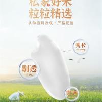 米妹妹（MIMEIMEI） 米仙子五常大米 1kg（单位：袋）真空包装