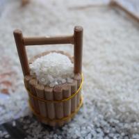 卢岩 石板大米 氮气包装 稻花香粥米 100g*10包 (单位:盒)