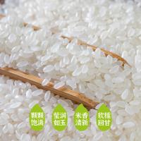 隆平芯米 清香小长粒大米 真空装 5kg (单位:袋)