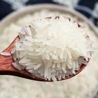 万年贡 丝苗团圆米 真空包装 5kg (单位:袋)