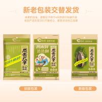 洽洽 瓜子 原香 258g (单位:袋) 新老包装随机发货