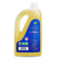 润心 山茶油 有机 低温压榨 1.25L (单位:桶)