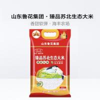 福花 臻品苏北生态大米 真空包装 5kg (单位:袋)