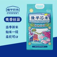 隆平芯米 美香丝苗大米 真空装 5kg (单位:袋)