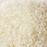 方解实 五常大米 真空包装 稻花香2号 5kg (单位:袋)