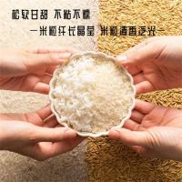 农博鄱湖 一级真空包装 九江大米 2.5kg (单位:袋) 米白色