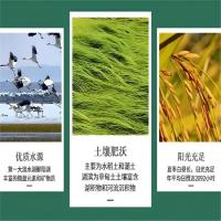 农博鄱湖 一级真空包装 九江大米 2.5kg (单位:袋) 米白色