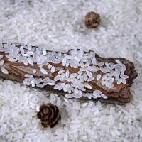 卢岩 石板大米 真空包装 长粒香 2.5kg (单位:袋)