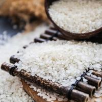 航奇 原阳黄金晴大米 真空装 5kg (单位:袋)