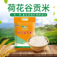 农博鄱湖 荷花谷贡米 一级 真空包装 2.5kg (单位:袋)