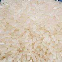 金菜花 长粒清香稻 真空装 10kg (单位:袋)