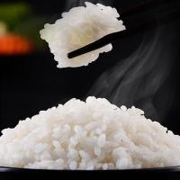 佳园央米 真空装 一级 吉米东北长香稻大米 5kg (单位:袋)