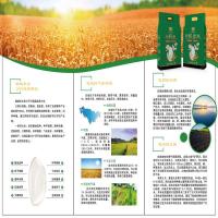 鹤城米乡 真空包装 一级 小町米 1kg (单位:袋)