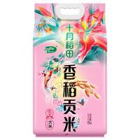 十月稻田 香稻贡米东北大米 梗米一级 真空包装 5kg (单位:袋)