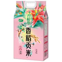 十月稻田 香稻贡米东北大米 梗米一级 真空包装 5kg (单位:袋)