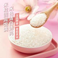 十月稻田 香稻贡米东北大米 梗米一级 真空包装 5kg (单位:袋)