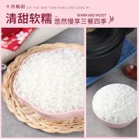 十月稻田 香稻贡米东北大米 梗米一级 真空包装 5kg (单位:袋)