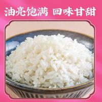 隆平芯米 五常基地大米 一等 真空装 5kg (单位:袋)