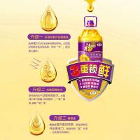 福临门 葵花籽油 一级压榨 5L (单位:桶)